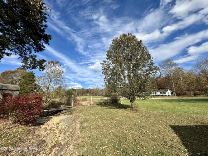 Listing Image 74