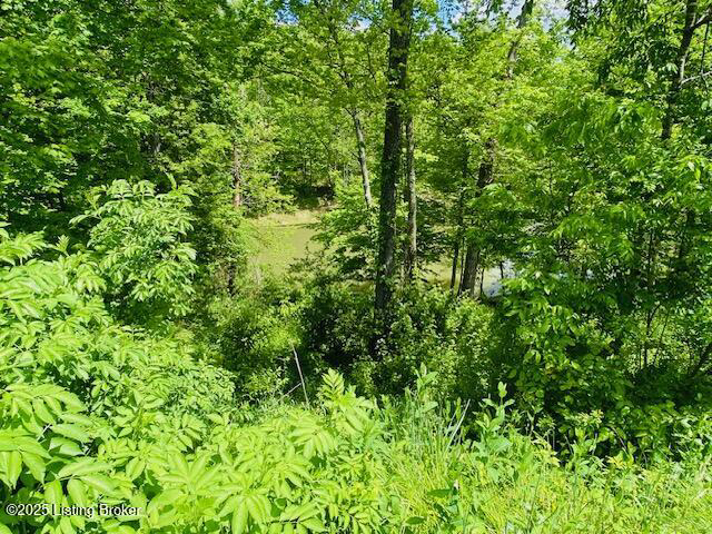 Listing Image 57