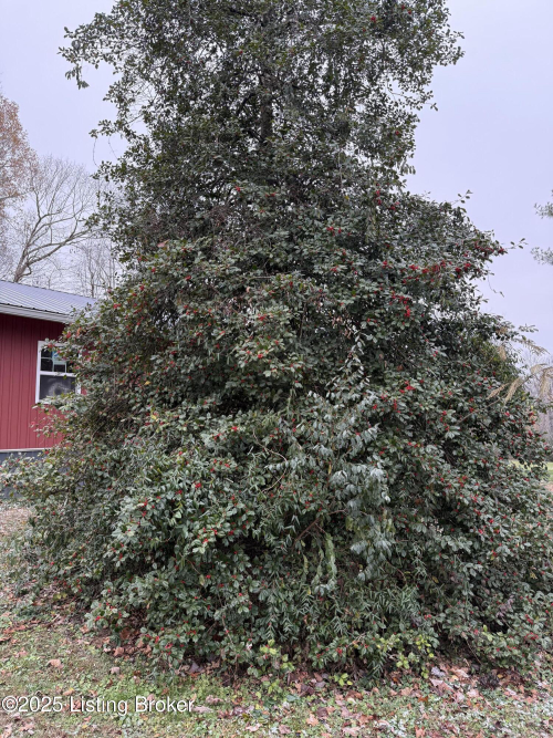 Listing Image 27