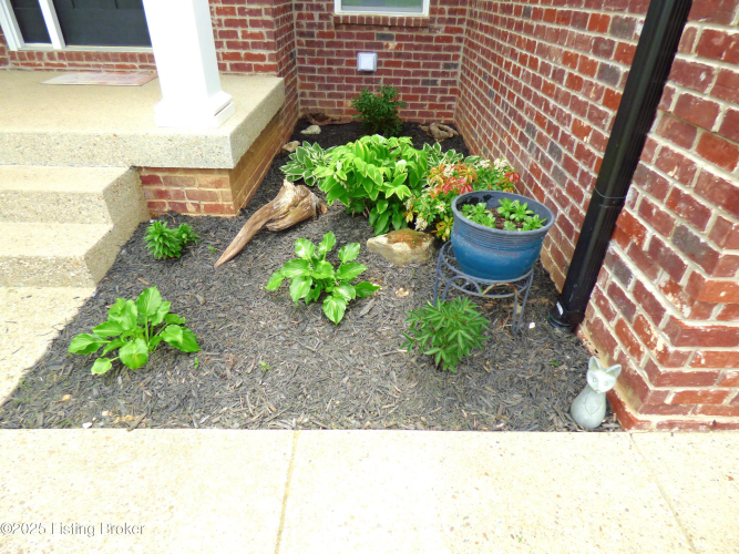 Listing Image 65
