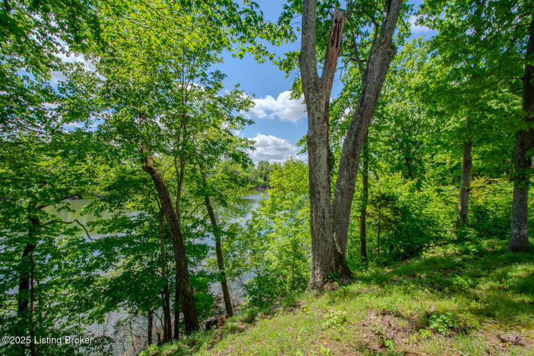 Listing Image 64