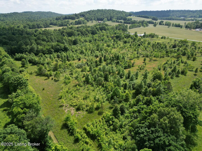 Listing Image 102