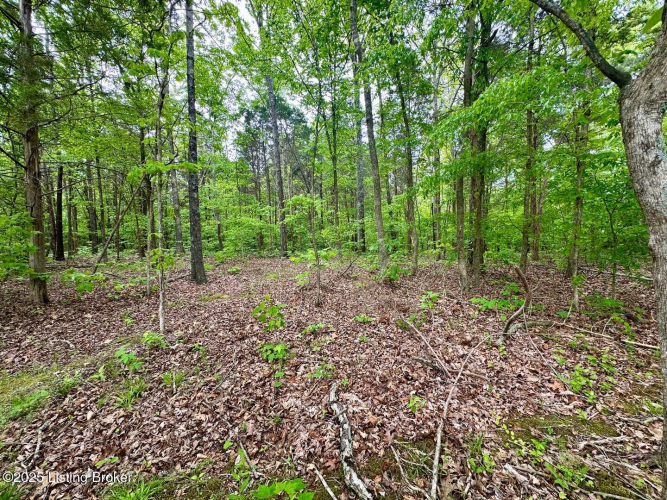 Listing Image 70