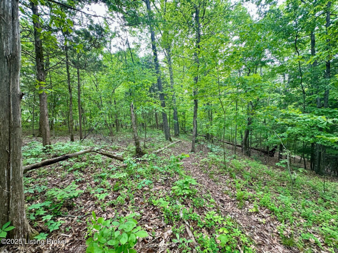 Listing Image 8