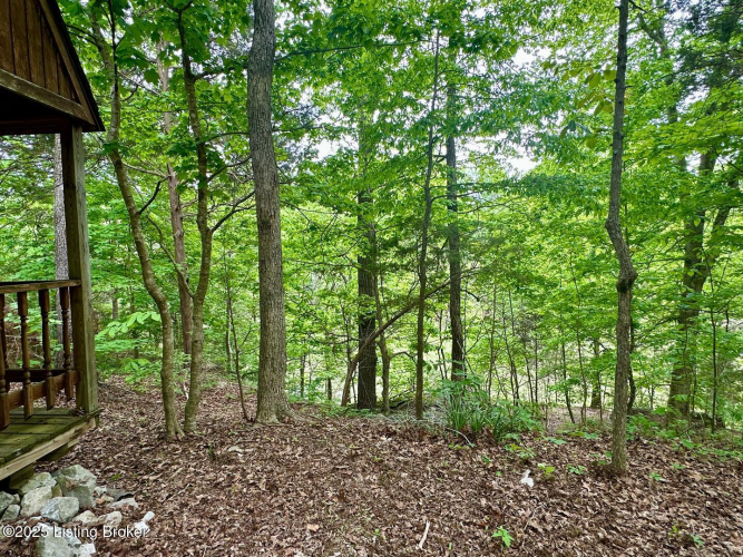 Listing Image 73