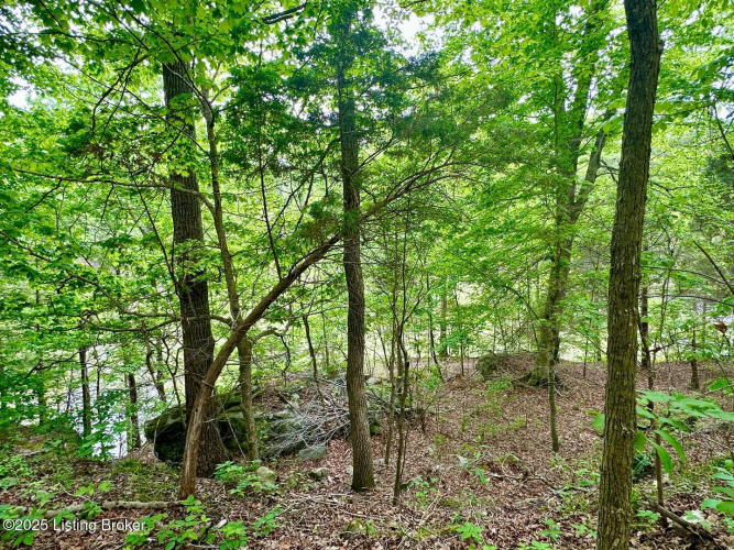 Listing Image 74