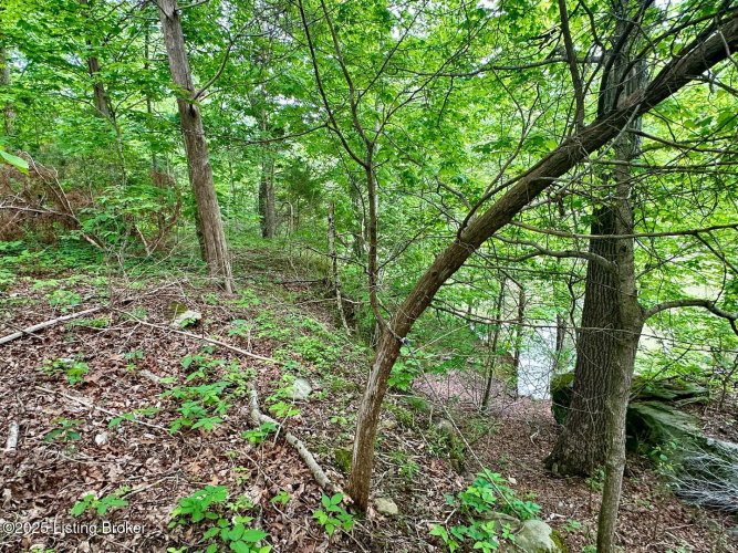 Listing Image 75