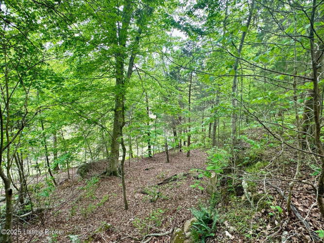 Listing Image 76