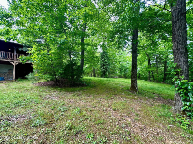 Listing Image 77