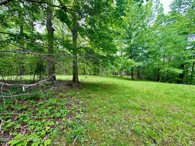 Listing Image 79