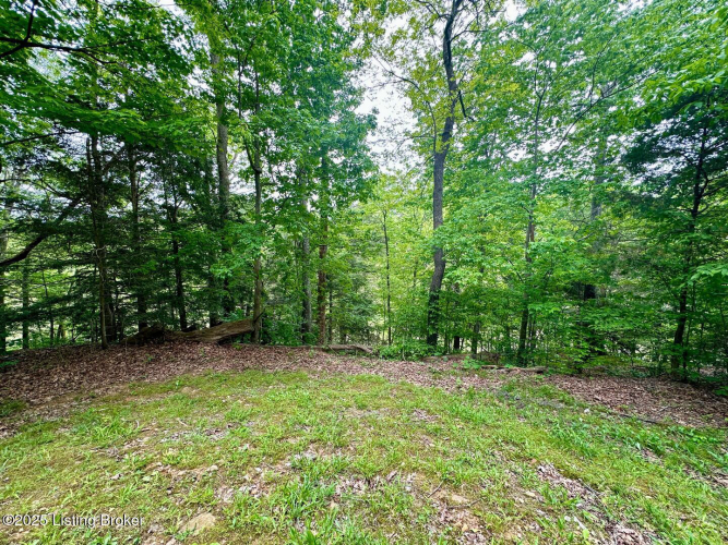 Listing Image 80