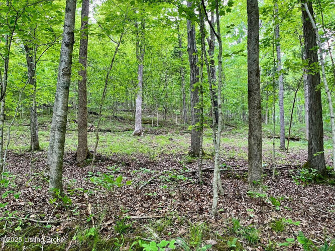Listing Image 85