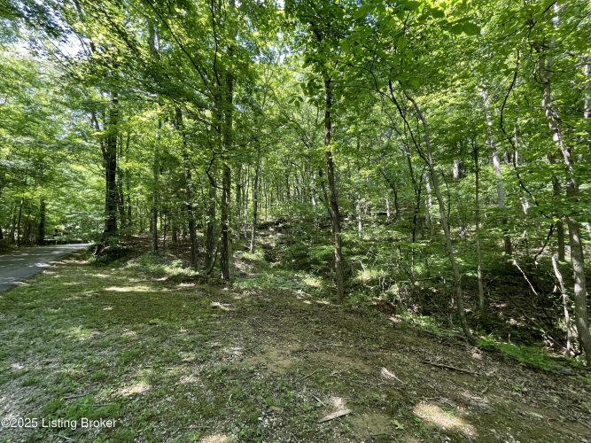 Listing Image 88