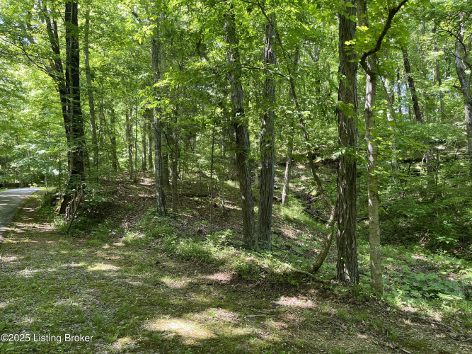 Listing Image 89