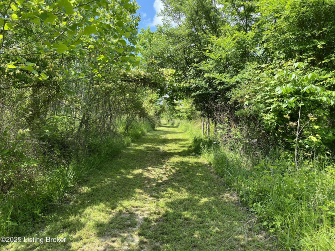 Listing Image 90