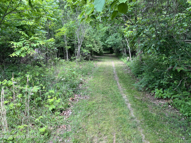 Listing Image 91