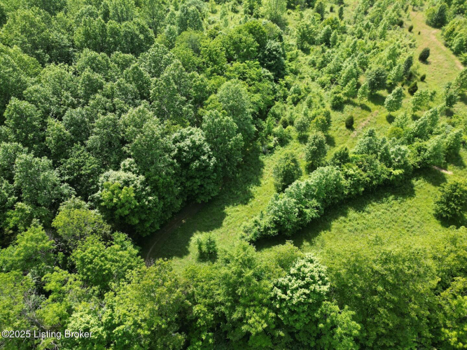 Listing Image 99