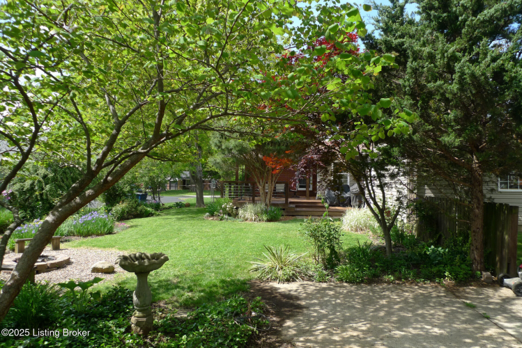 Listing Image 68