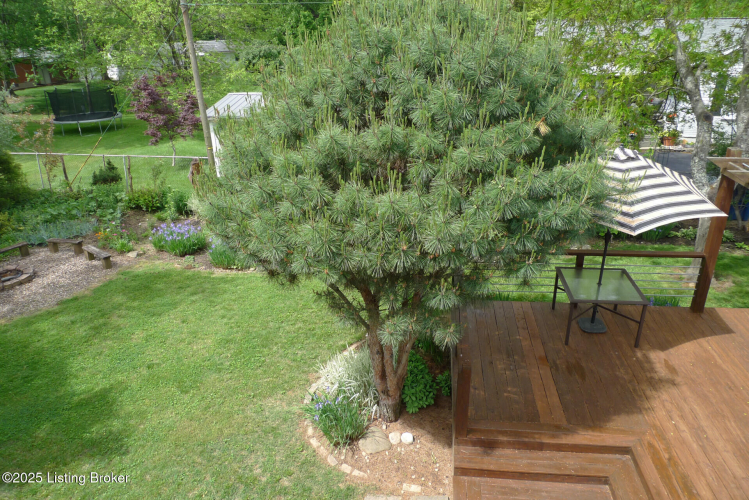 Listing Image 78