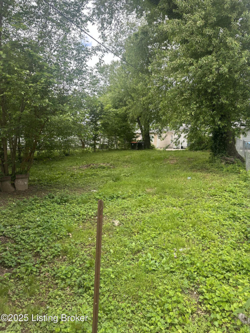 Listing Image 29