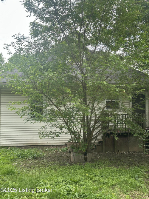 Listing Image 32