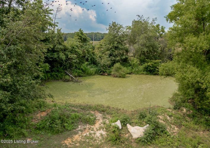 Listing Image 31