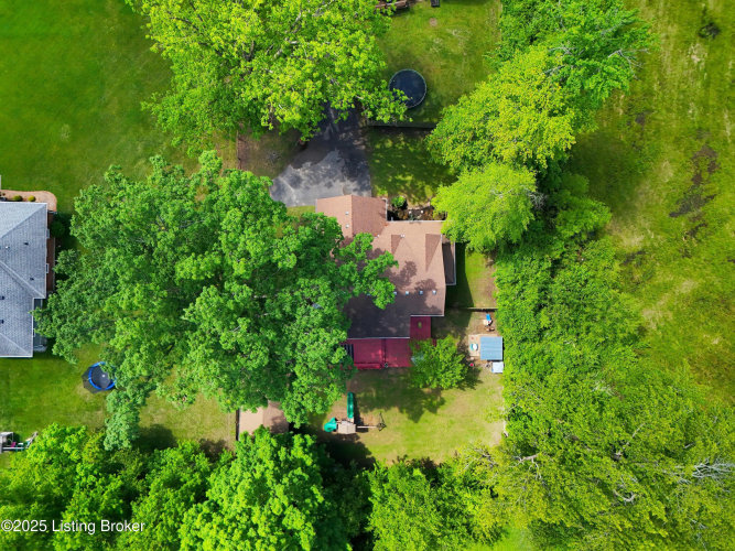 Listing Image 61
