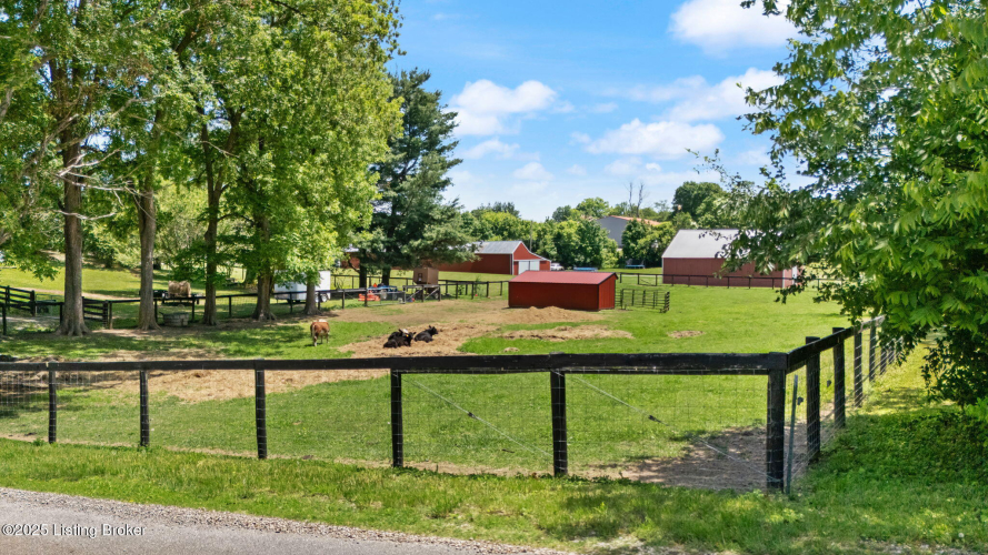Listing Image 72