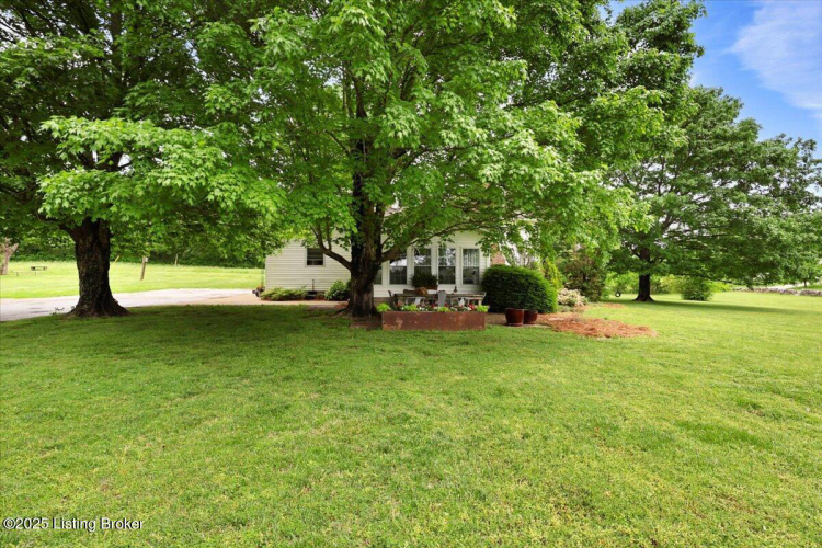 Listing Image 61