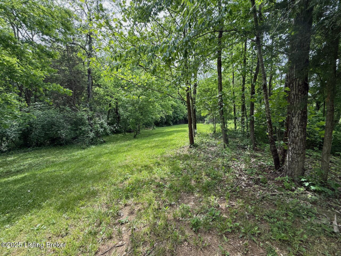 Listing Image 54