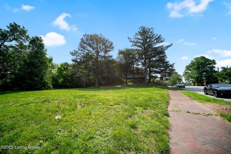 Listing Image 29
