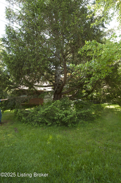 Listing Image 32