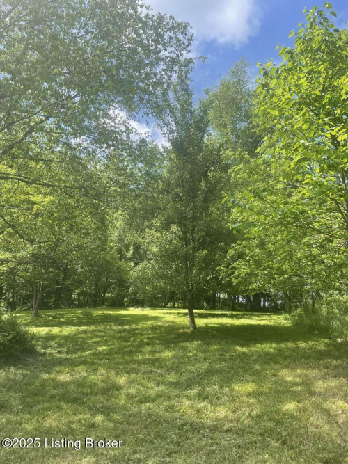 Listing Image 17