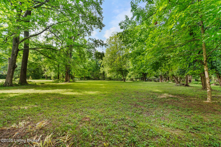 Listing Image 55