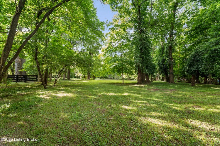 Listing Image 57