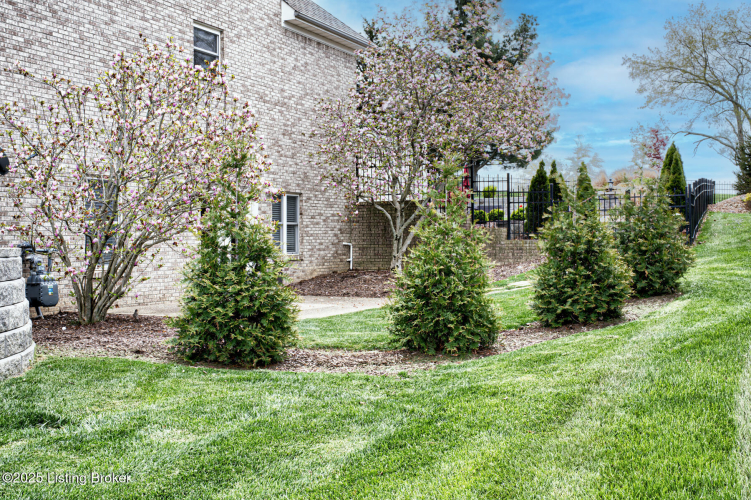 Listing Image 57