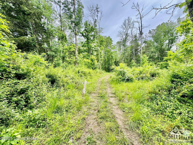 Listing Image 14