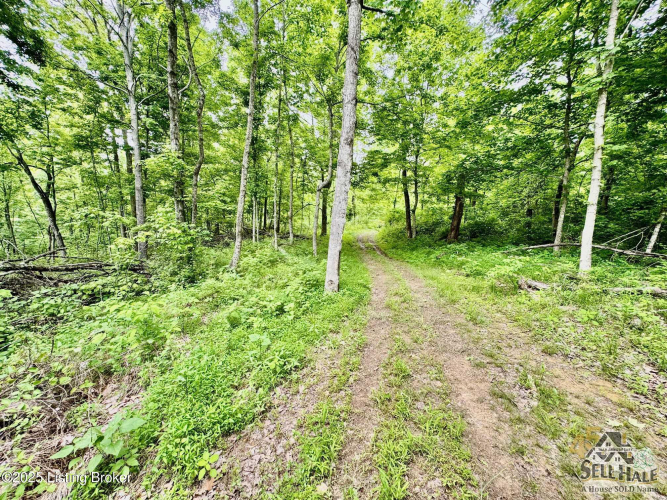 Listing Image 16