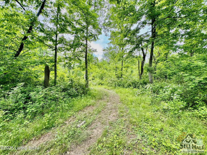 Listing Image 17