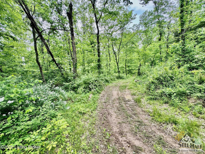 Listing Image 18