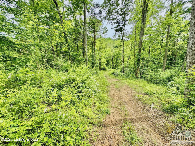 Listing Image 22