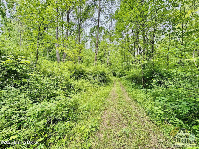 Listing Image 10