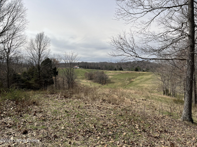 Listing Image 17