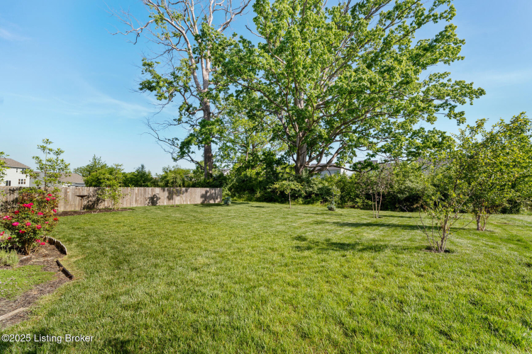 Listing Image 44
