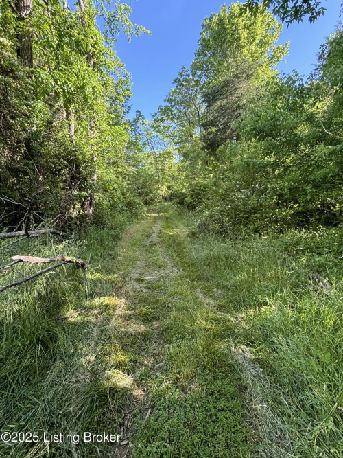 Listing Image 42
