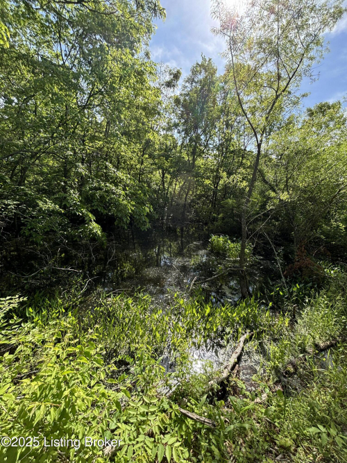 Listing Image 44