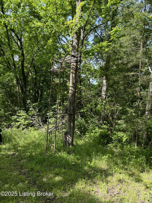 Listing Image 45