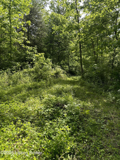 Listing Image 48
