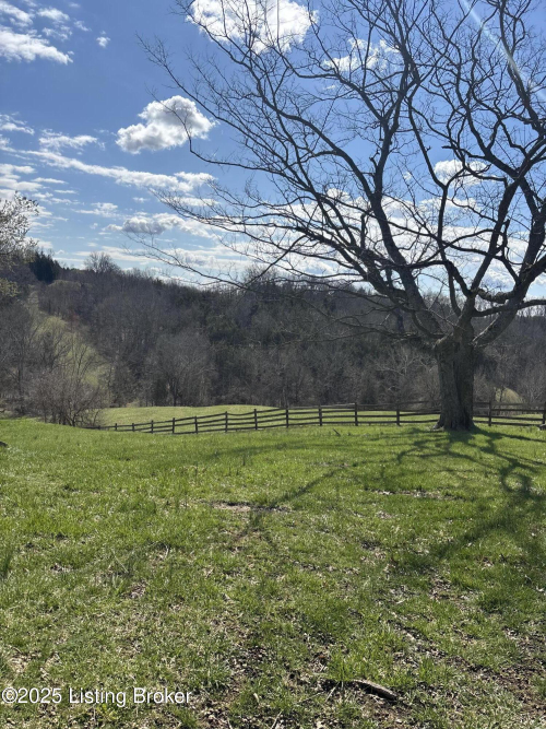 Listing Image 42