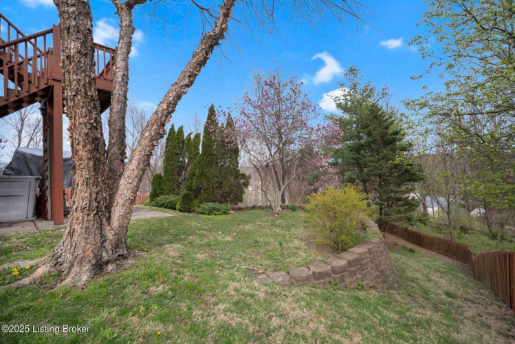 Listing Image 85